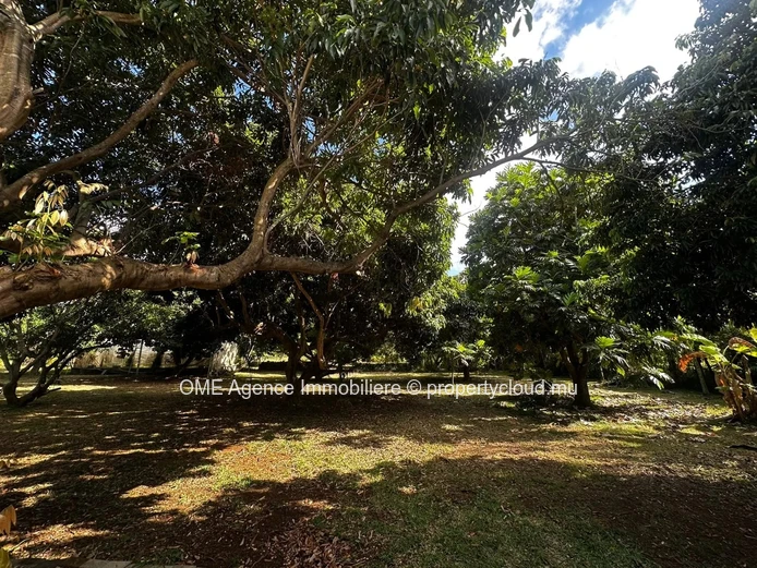 Charmante maison avec jardin verdoyant – Saint-François, Calodyne