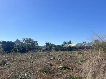 Agricultural Land