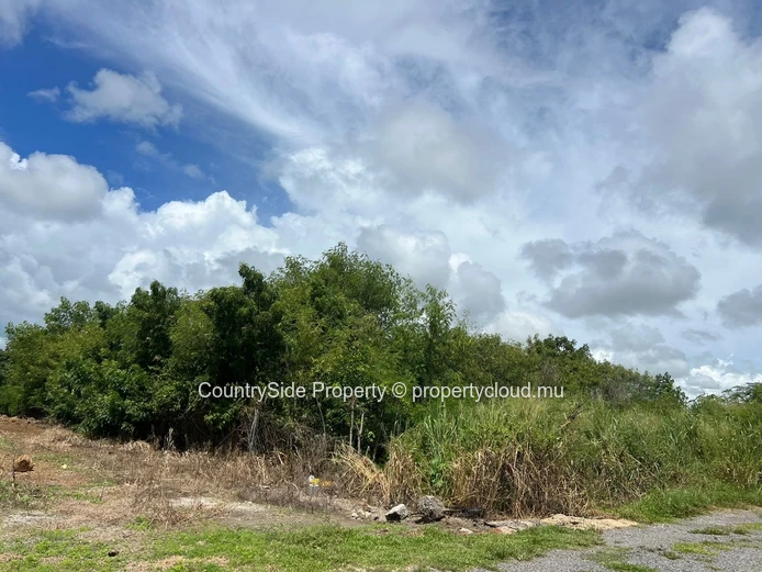 Terrain résidentiel 29 Perches à vendre à Calodyne – Opportunité d’investissement de choix