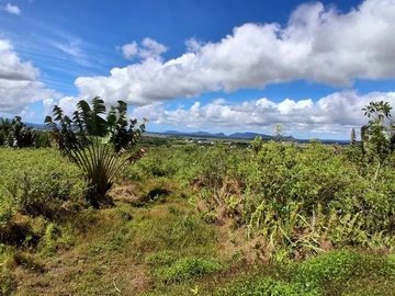 Terrain Agricole