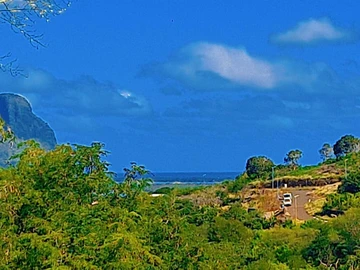 Residential Land