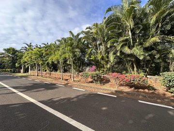 Residential Land
