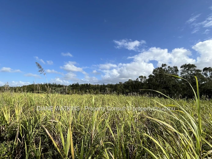 For Sale - Beautiful Agricultural Plot Bordering a River in Deux Bras.