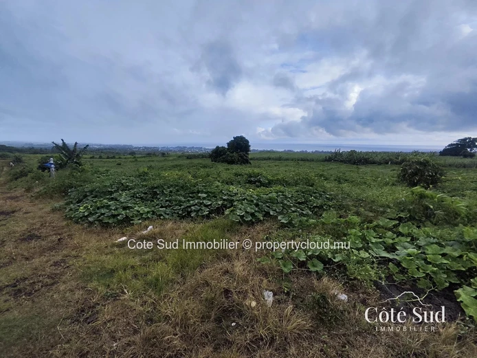 Spacious agricultural land in La Martinière, Savanne