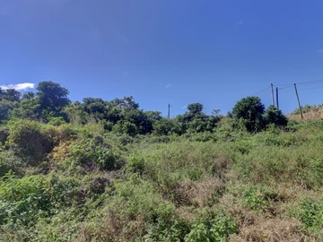 Agricultural Land