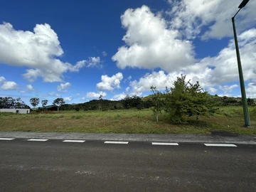Terrain
