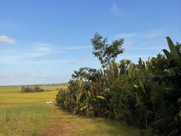 Agricultural Land