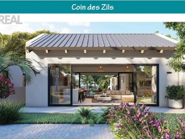 Coin des Zils