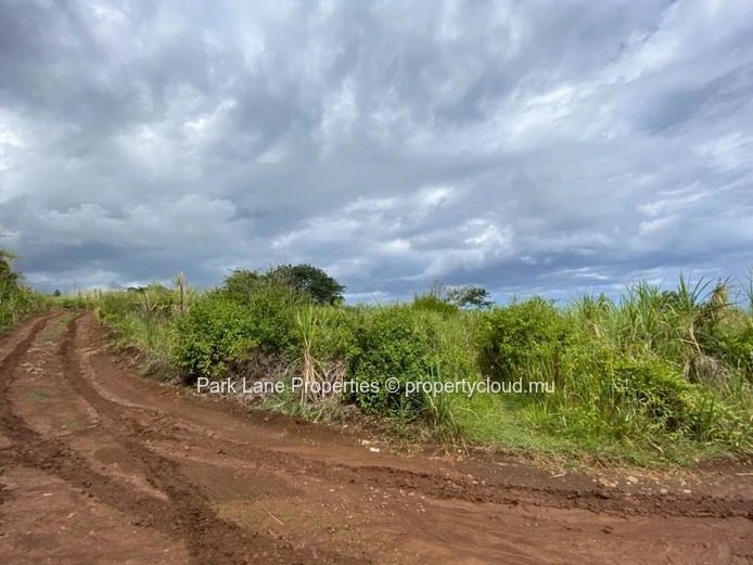Large plot for future development