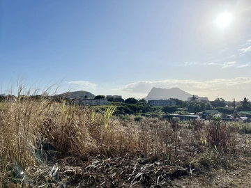 Agricultural Land