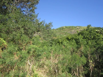 Land