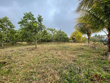 Agricultural Land
