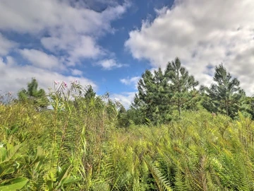 Residential Land