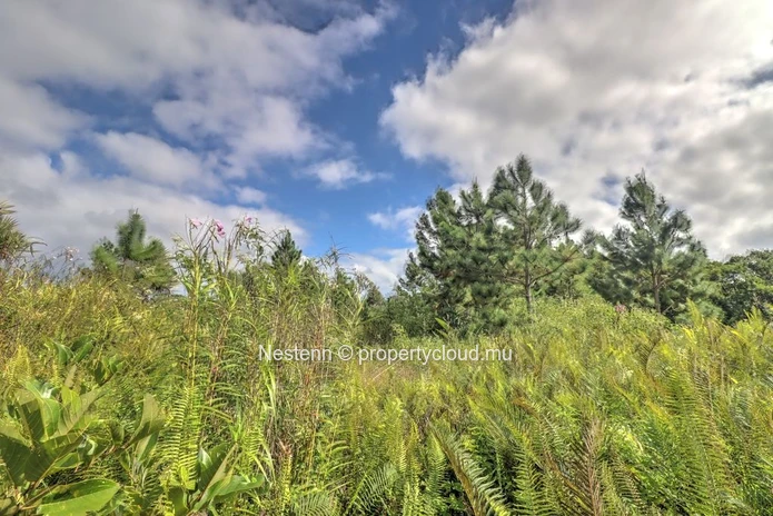 Exceptional residential plot 