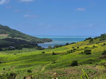 Terrain Agricole
