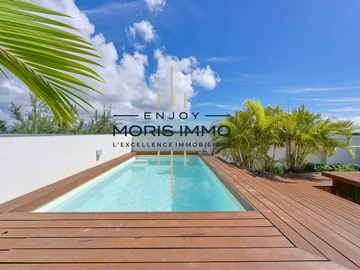 Penthouse de 2 Chambres