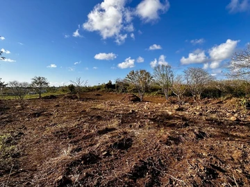 Agricultural Land