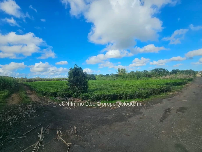 Agricultural Land for Sale