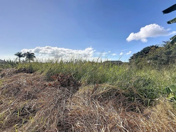 Terrain