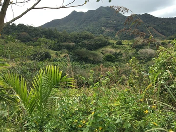 Agricultural land of 42,218m2 in Anse Jonchee