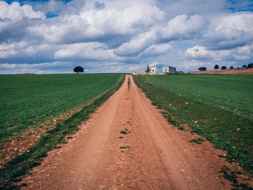 Agricultural Land