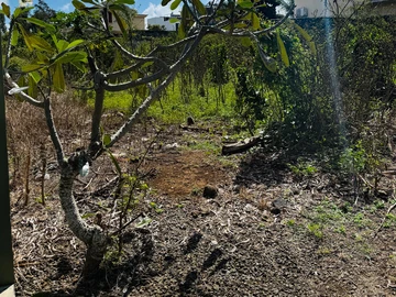 Residential Land