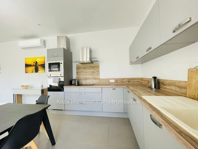 Contemporary Apartment
