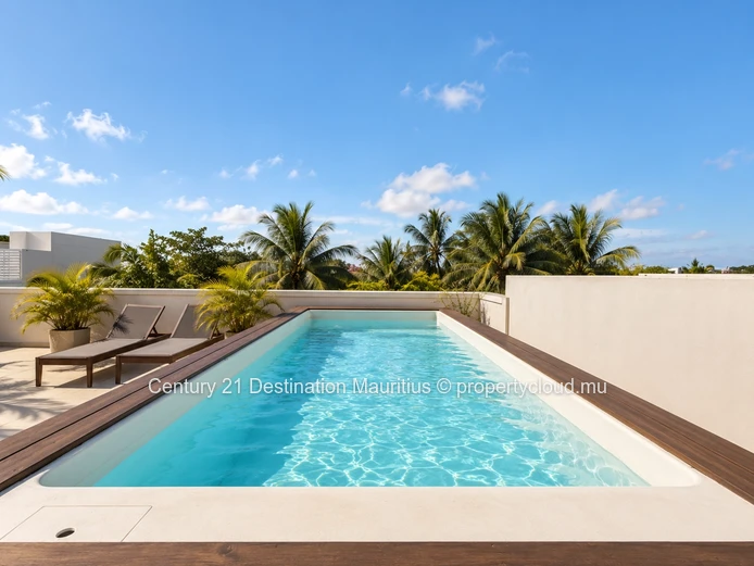 Penthouse with Rooftop Pool