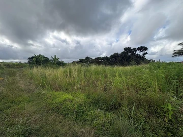 Residential Land