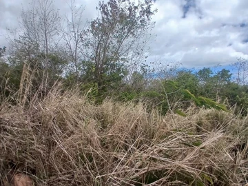 Commercial Land
