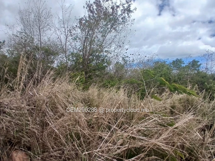 Prime Industrial Land For Sale – Arsenal 