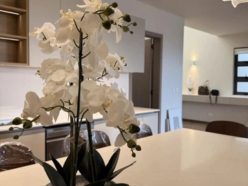 Penthouse de 4 Chambres