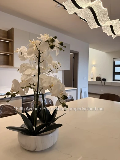 BAGATELLE MOKA - Penthouse  d'exception 4 chambres