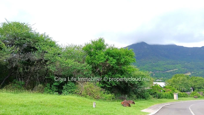 Terrain à Vendre – 2 785m² dans le Domaine de Palmyre