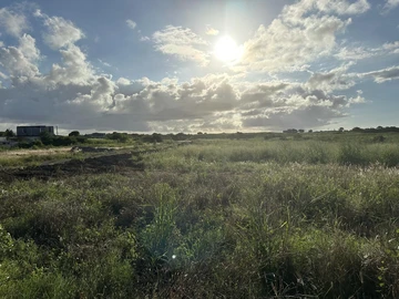 Residential Land