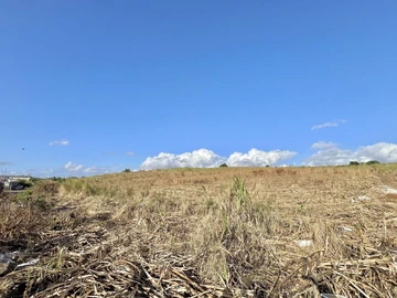 Agricultural Land