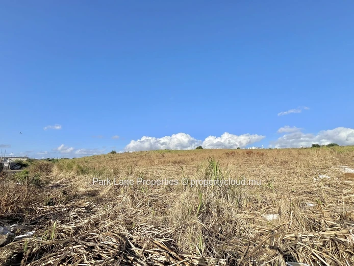Terrain Agricole de 12 Acres en Zone Industrielle à Vendre – Idéal pour Entrepôts à Phoenix