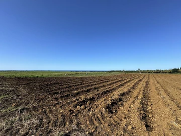 Agricultural Land