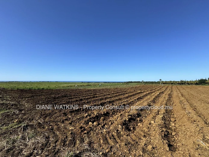 À vendre – Terrain Agricole avec Vue Sur la Mer à Gros Bois
