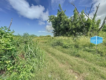Land