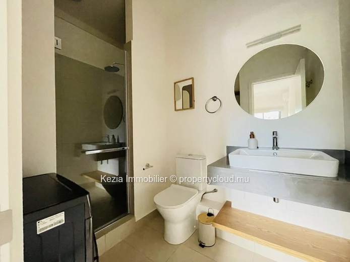 Contemporary Apartment
