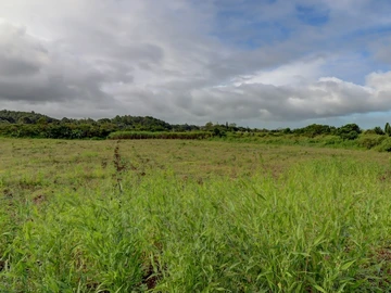 Agricultural Land