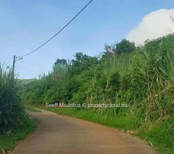 Opportunité à Chamarel : Terrains Agricoles d'Exception