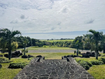 Terrain