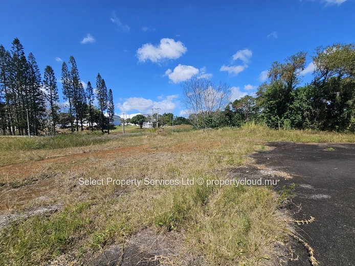 Prime Freehold Land for Sale in Moka