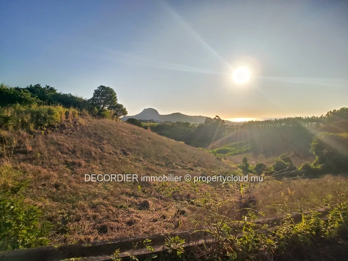 À Vendre Les Mariannes Terrain Agricole
