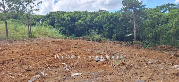 Prime Residential Land for Sale in Plaine D’hermitage – Ideal Investment Opportunity