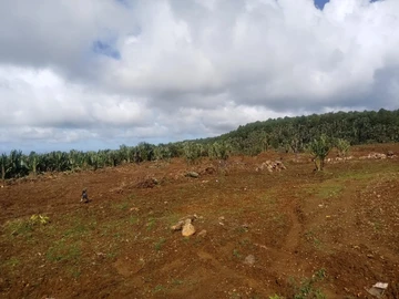 Agricultural Land