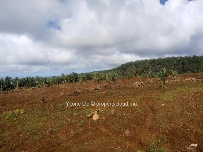 Terrain Agricole En Vente À Beau Climat