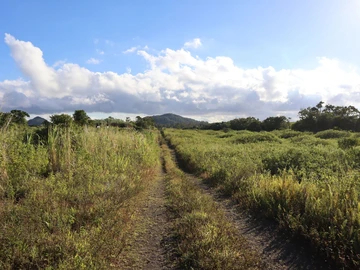 Agricultural Land